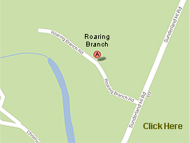 directions to roaring branch cabin rentals in sunderland/arlington vermont
